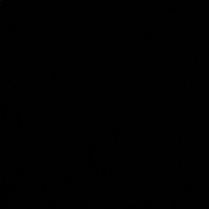 Meet your Posher, Steve